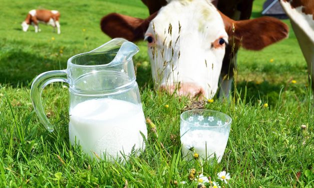 Pasteurised Milk