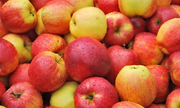How is Cider made
