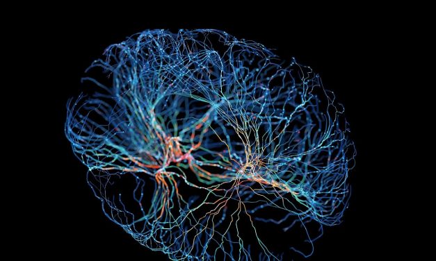 Are you the same person you were 10 years ago ?