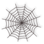 spider-web-md64