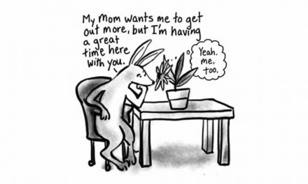 Chatty Plants – When the house plants talk back