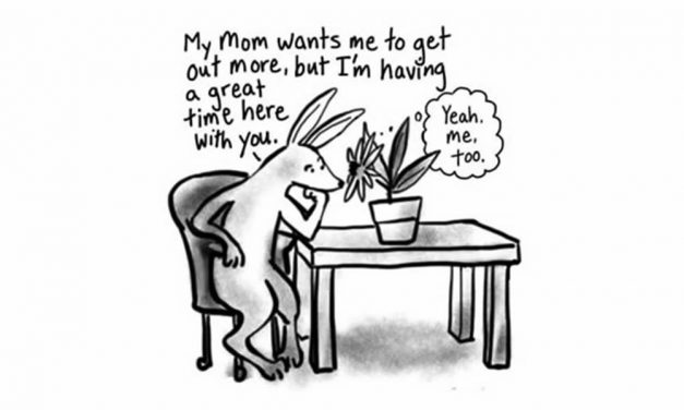 Chatty Plants – When the house plants talk back