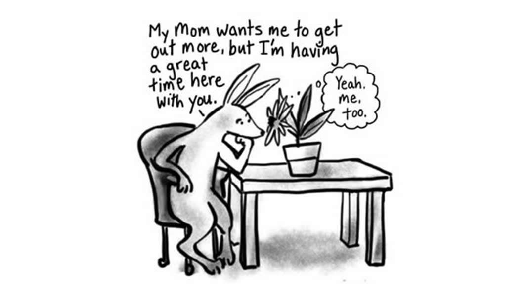 Chatty Plants – When the house plants talk back