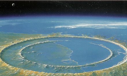 Why did the Dinosaurs die out?