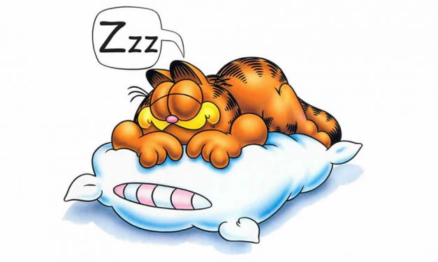 Why do we need sleep?