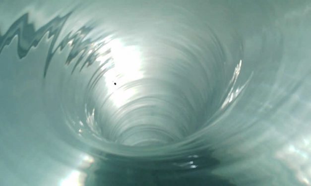 Is it true that water empties out of sinks anti-clockwise in the northern hemisphere ?