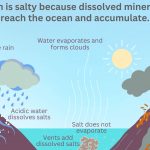 Why is the sea salty?