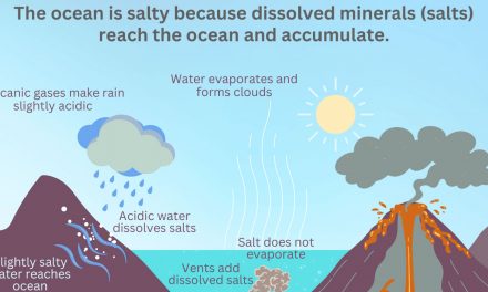 Why is the sea salty?