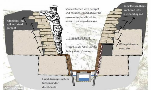 How did Trench Warfare begin in World War I