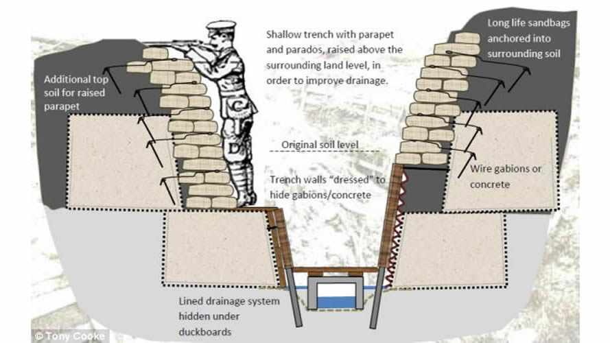 How did Trench Warfare begin in World War I