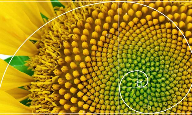 The Numbers Man – Fibonacci & the Origins of our Number System