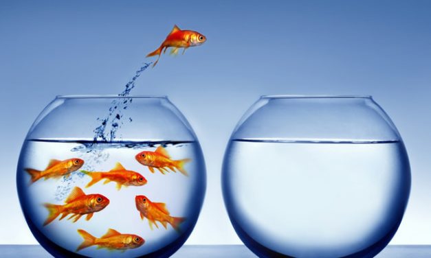 Urban Myths Debunked : Is it true that goldfish have a memory span of only 3 seconds?