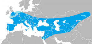Range of Homo Neanderthalensis