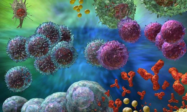 How do Immunization Vaccines Work ?