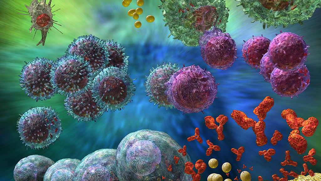 How do Immunization Vaccines Work ?