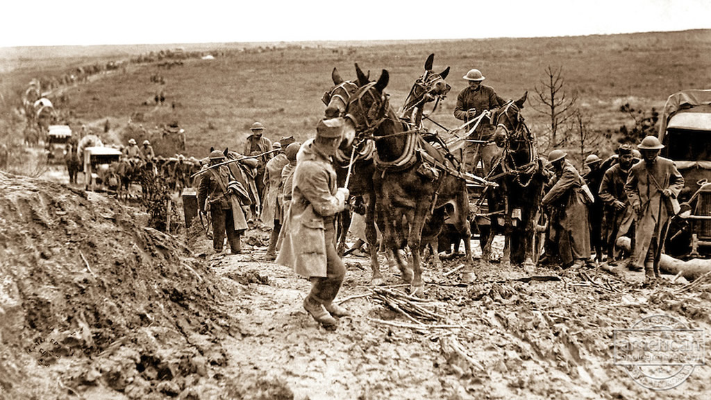 The Guernsey Scottish – The Men from Guernsey who served with the Scots in WWI