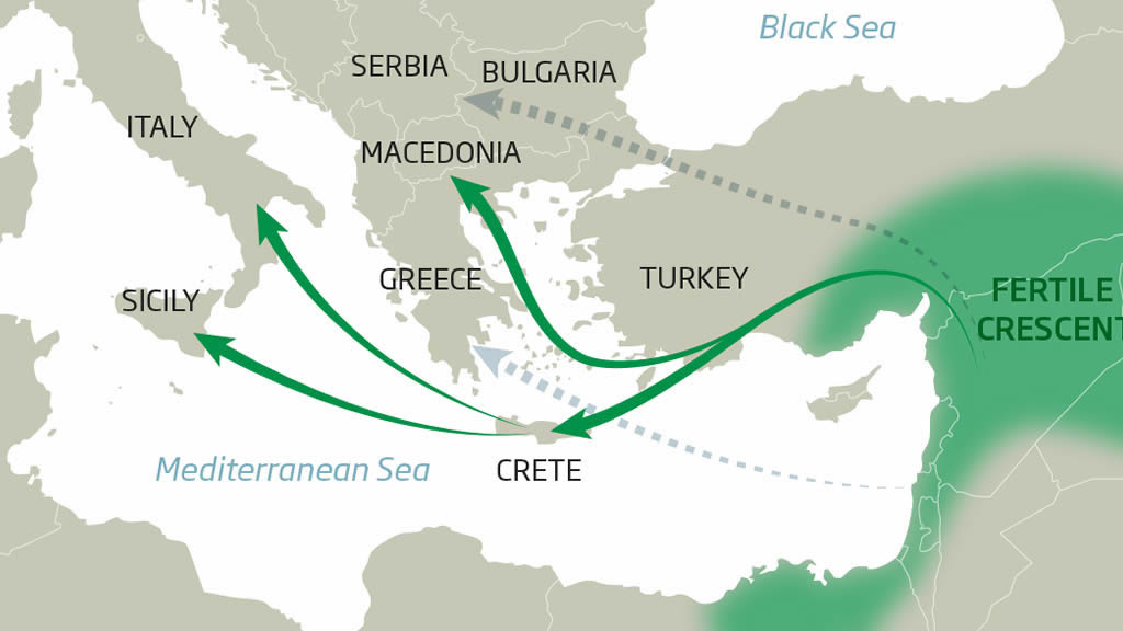 How did Farming Arrive in Europe ?
