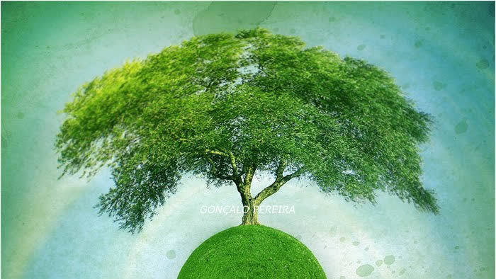 What is the Gaia hypothesis?