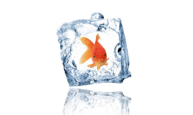 When did people start freezing food for preservation ?