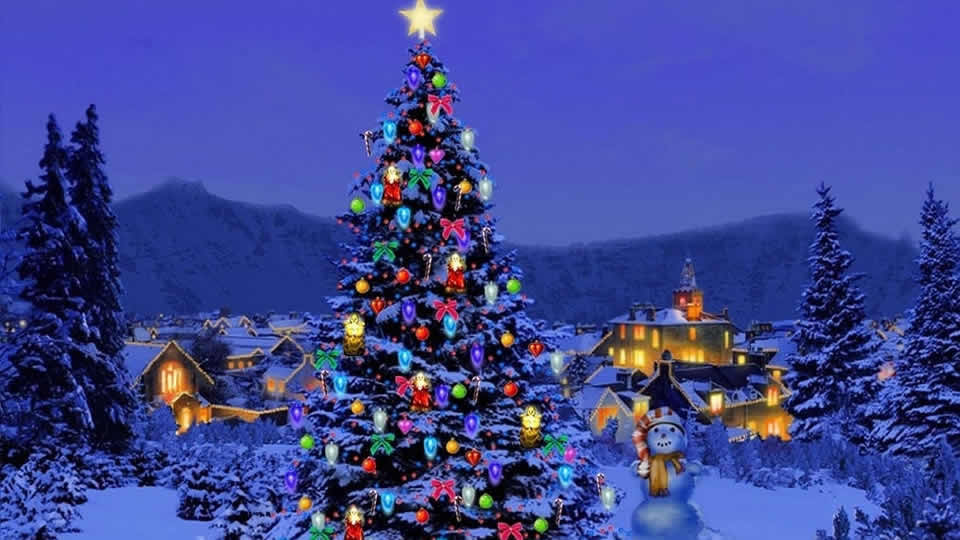 Some Christmas Tree Factlets