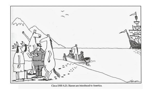 It’s a Strange World – Some Humerous Catastrophes and Cock-ups from around the Planet