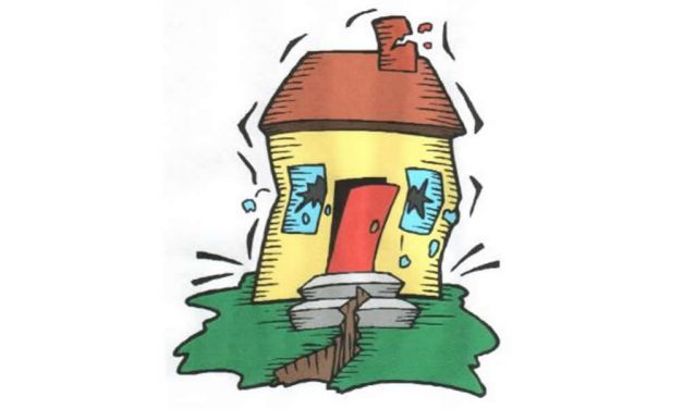 Can Animals Really Sense an Impending Earthquake?