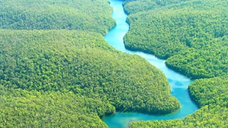 Will deforestation eventually cause us to run out of  oxygen?
