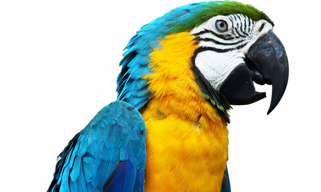 Are Humans and Parrots the only Living Organisms which have the Power of Speech?