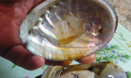 Recipes of Bygone Days – Stewed Ormers; Pickled Ormers & Dressed Ormers