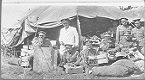 Tomatoes sent from Guernsey by the Growers Association arrive at Bourne Park. It was intended to raise morale at home and this photograph was duly published in the Guernsey Weekly Press on 28th July 1917. Back row from L to R : Sgt Albeck & Corporal Le Messurier. Front row from L to R Lnce-Corp W. T. Robinson & Qtr masters J.Deveau, C.H. Howlett, J.E. Nicholls & H. Heaume.