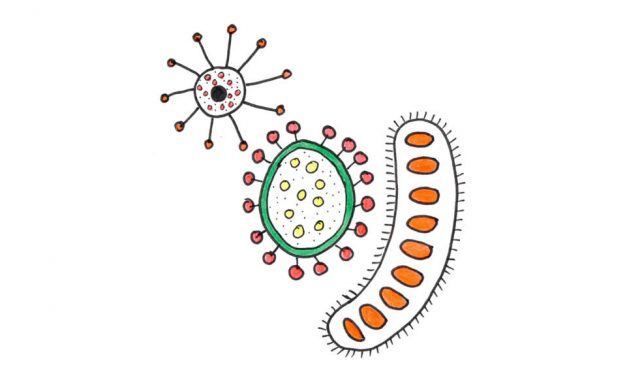 Ancient Bacteria Brought Back to Life