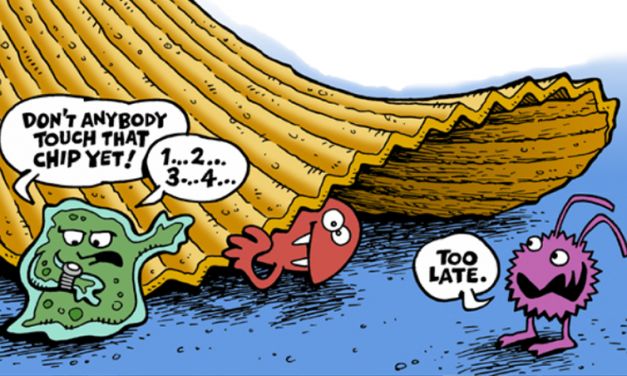 Is the 5 Second Rule for Dropping Food on the Floor Legitimate ?