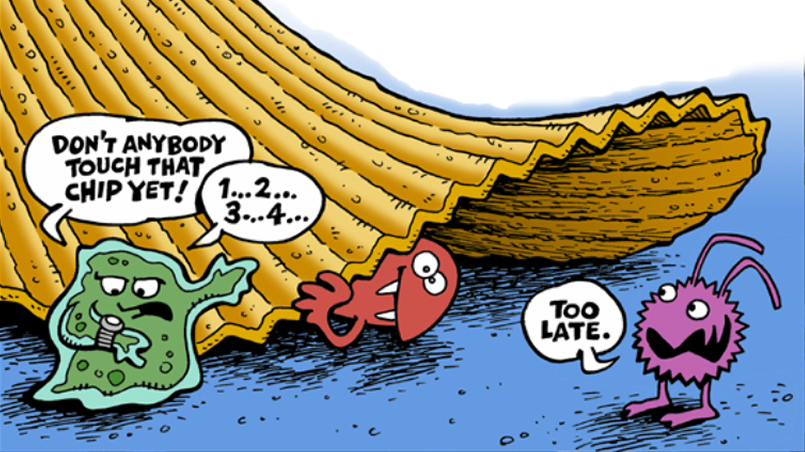 Is the 5 Second Rule for Dropping Food on the Floor Legitimate ?