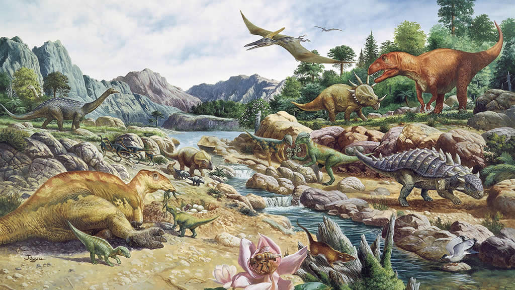 Is it possible to tell the sex of a Dinosaur?