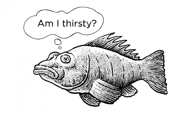 Do Fish Get Thirsty?