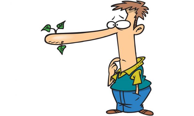 Why do we Lie – The Science behind Lying