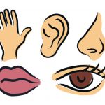 Extra Senses – Beyond the ‘traditional five’