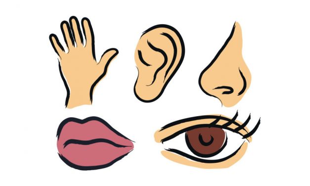 Extra Senses – Beyond the ‘traditional five’