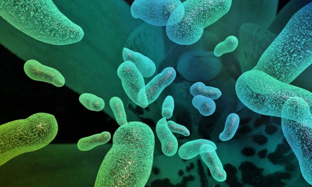 Bio Sonar Bacteria and Tackling Antibiotic-Resistant Bugs