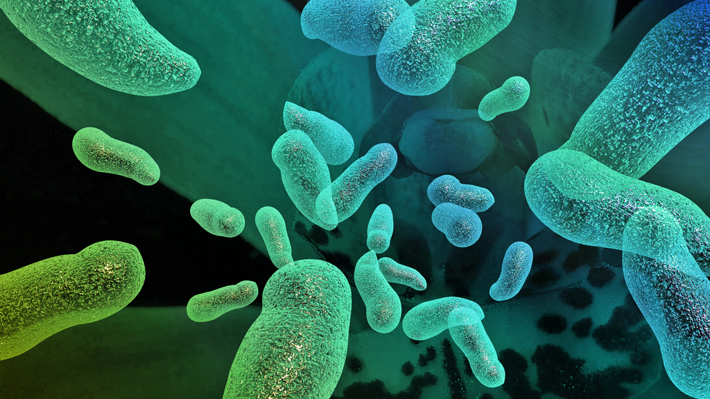 Bio Sonar Bacteria and Tackling Antibiotic-Resistant Bugs