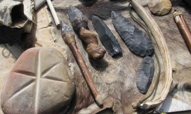 What Other Animals, Beside Man, Use Tools?