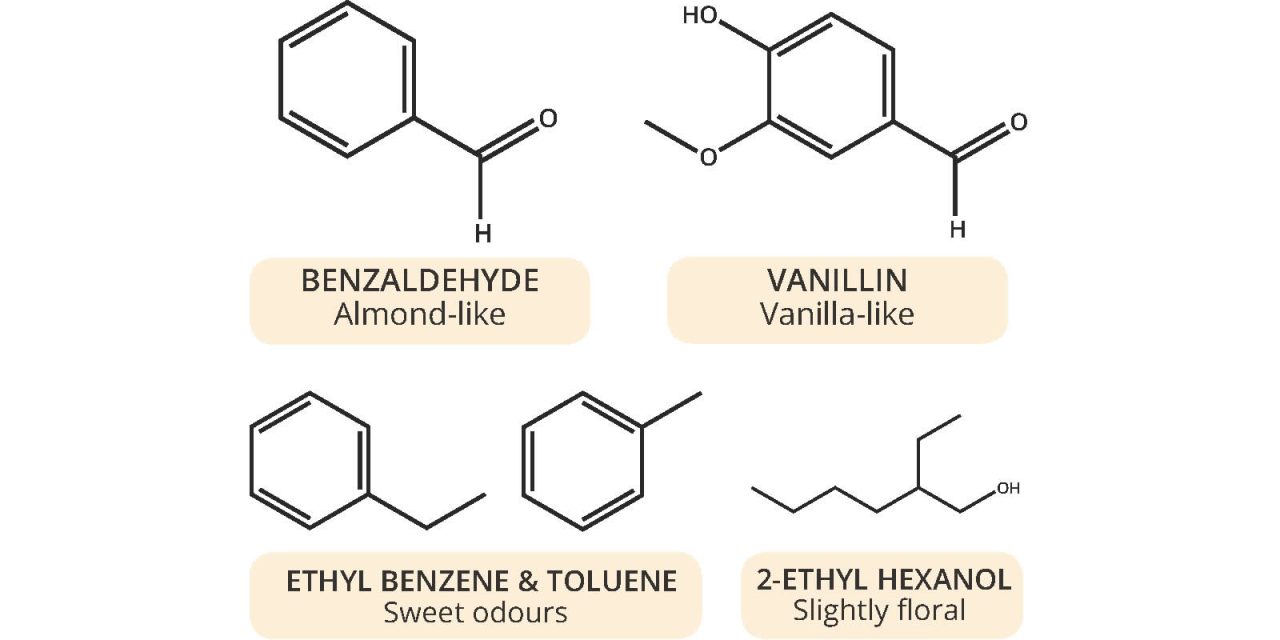 Aroma Chemistry : What Causes the Smell of Old & New Books?