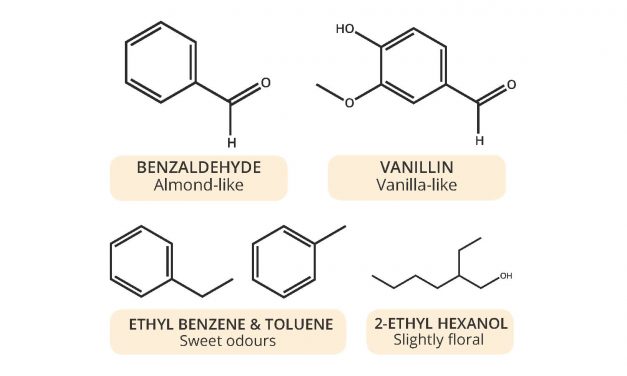 Aroma Chemistry : What Causes the Smell of Old & New Books?