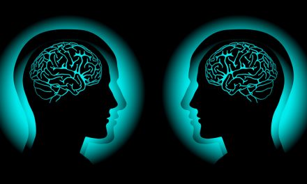 Is There Any Evidence for a “Special Link” Between Identical Twins?