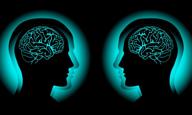 Is There Any Evidence for a “Special Link” Between Identical Twins?