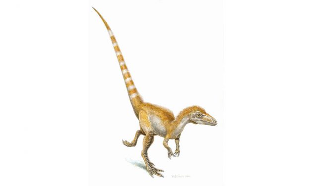 What Colour Were Dinosaurs?