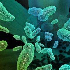 Bio Sonar Bacteria and Tackling Antibiotic-Resistant Bugs