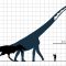 Why Were Some Dinosaurs so Large ?