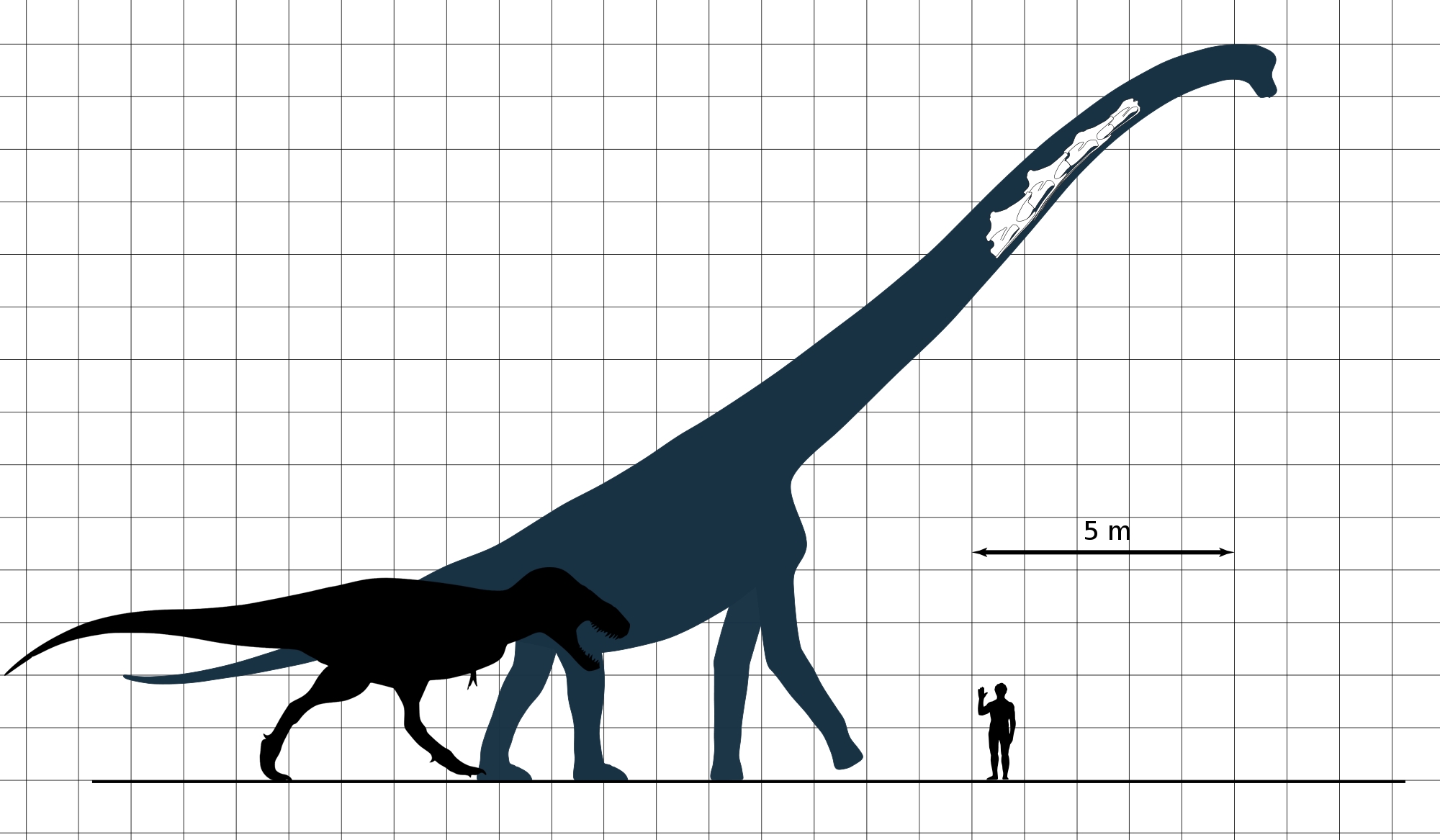 Dinosaur Scale Size Comparison