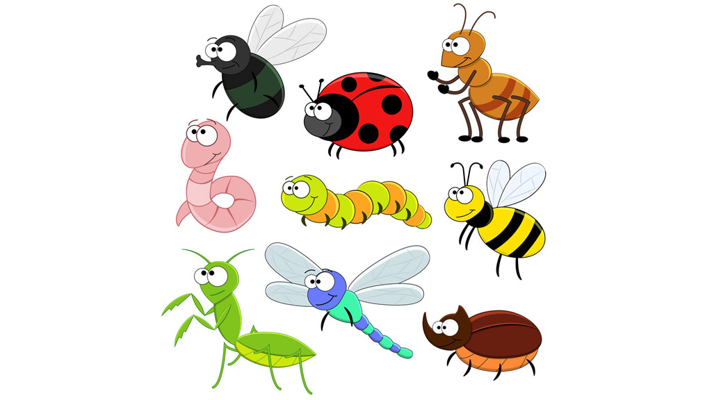 Would You Eat Insects to Save the Planet ?